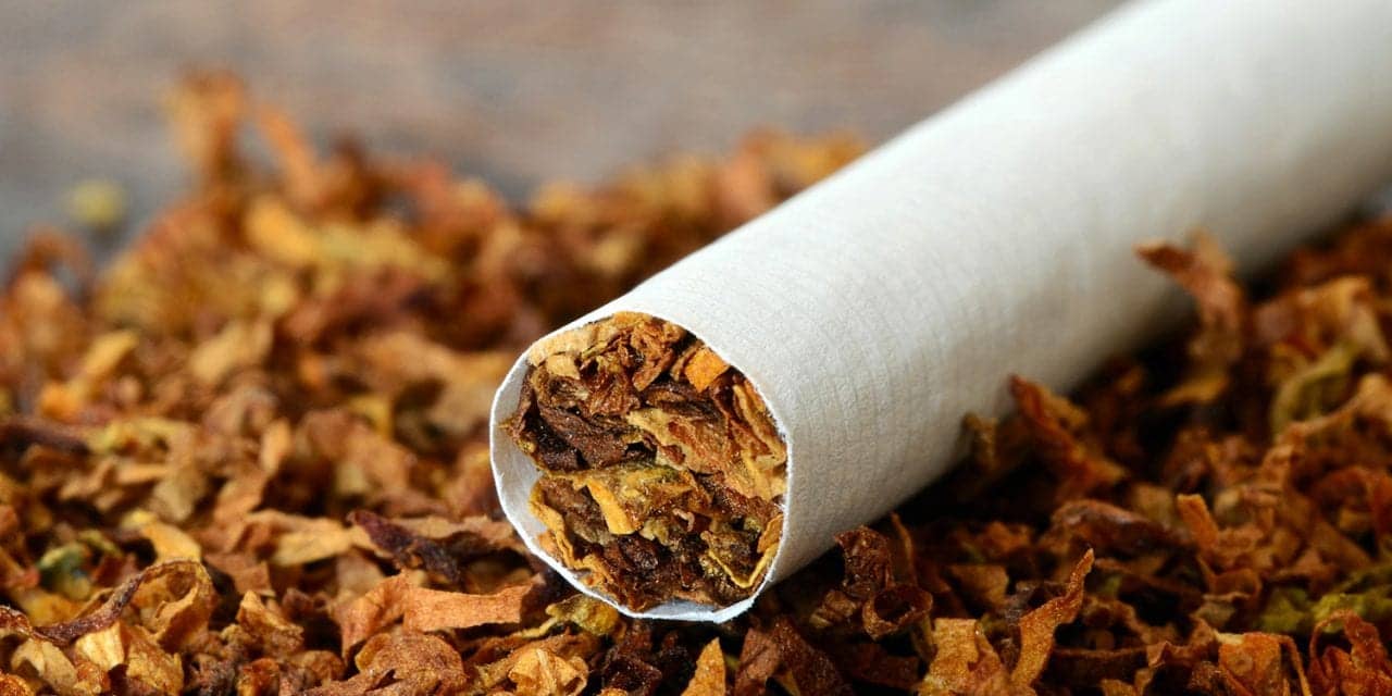 Почему люди все чаще выбирают табак премиум качества?